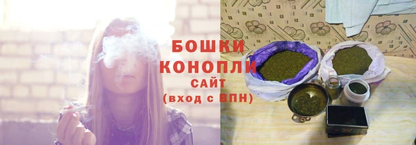 PSILOCYBIN Богданович