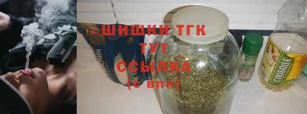 СК Бородино