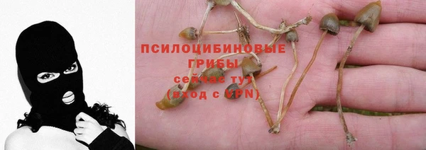 прущие крисы Бронницы