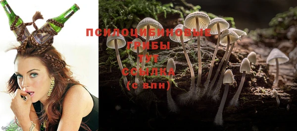 PSILOCYBIN Богданович