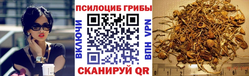 Галлюциногенные грибы Cubensis  Кемь 